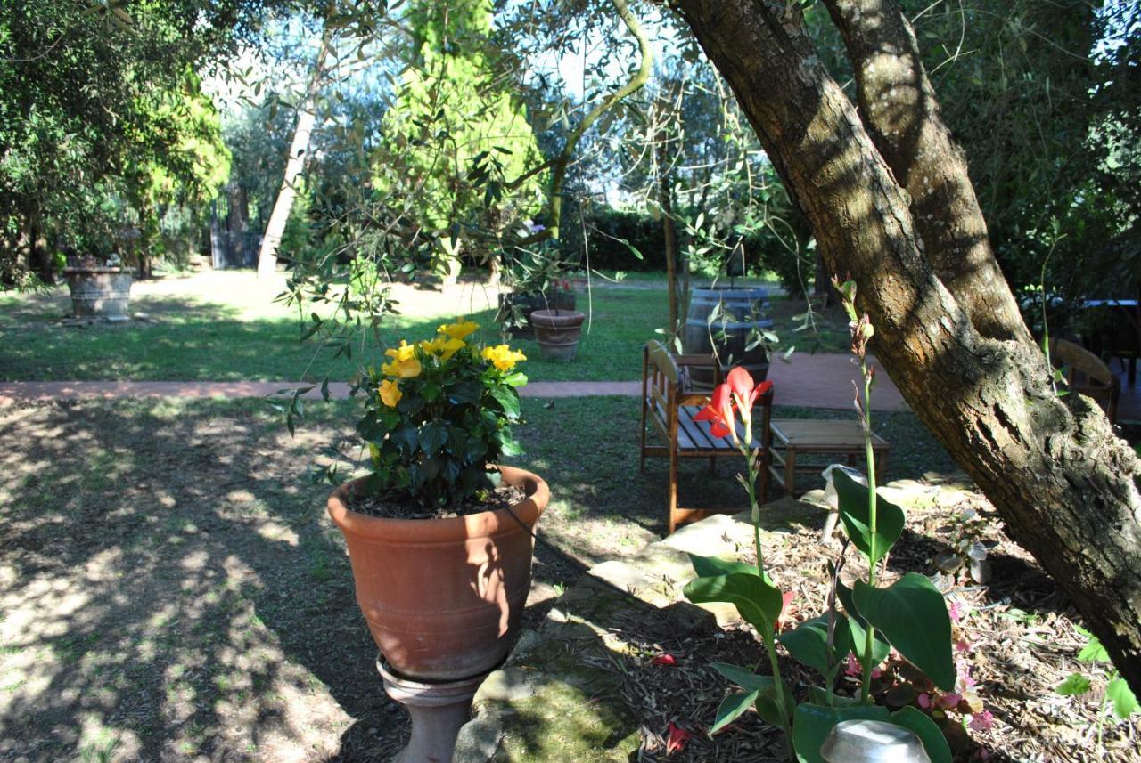 Agriturismo La Nicchia Castelnuovo Berardenga Eksteriør billede