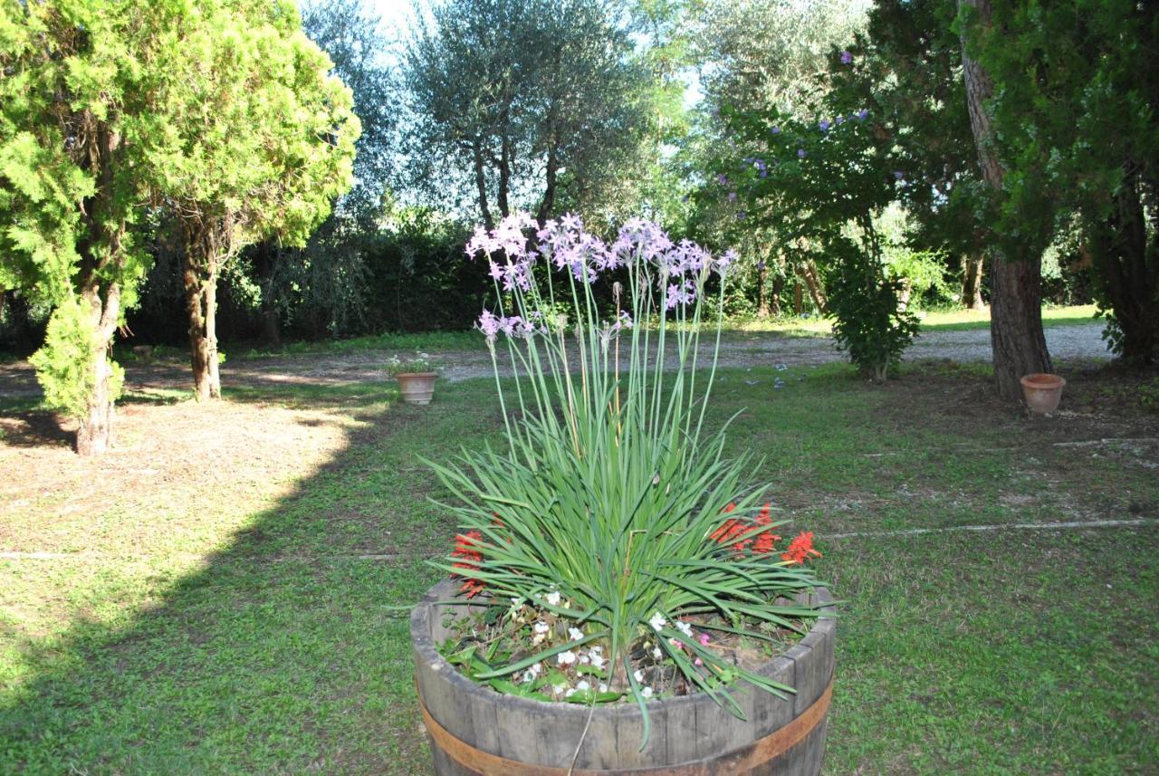 Agriturismo La Nicchia Castelnuovo Berardenga Eksteriør billede