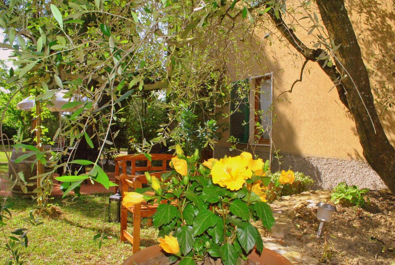 Agriturismo La Nicchia Castelnuovo Berardenga Eksteriør billede