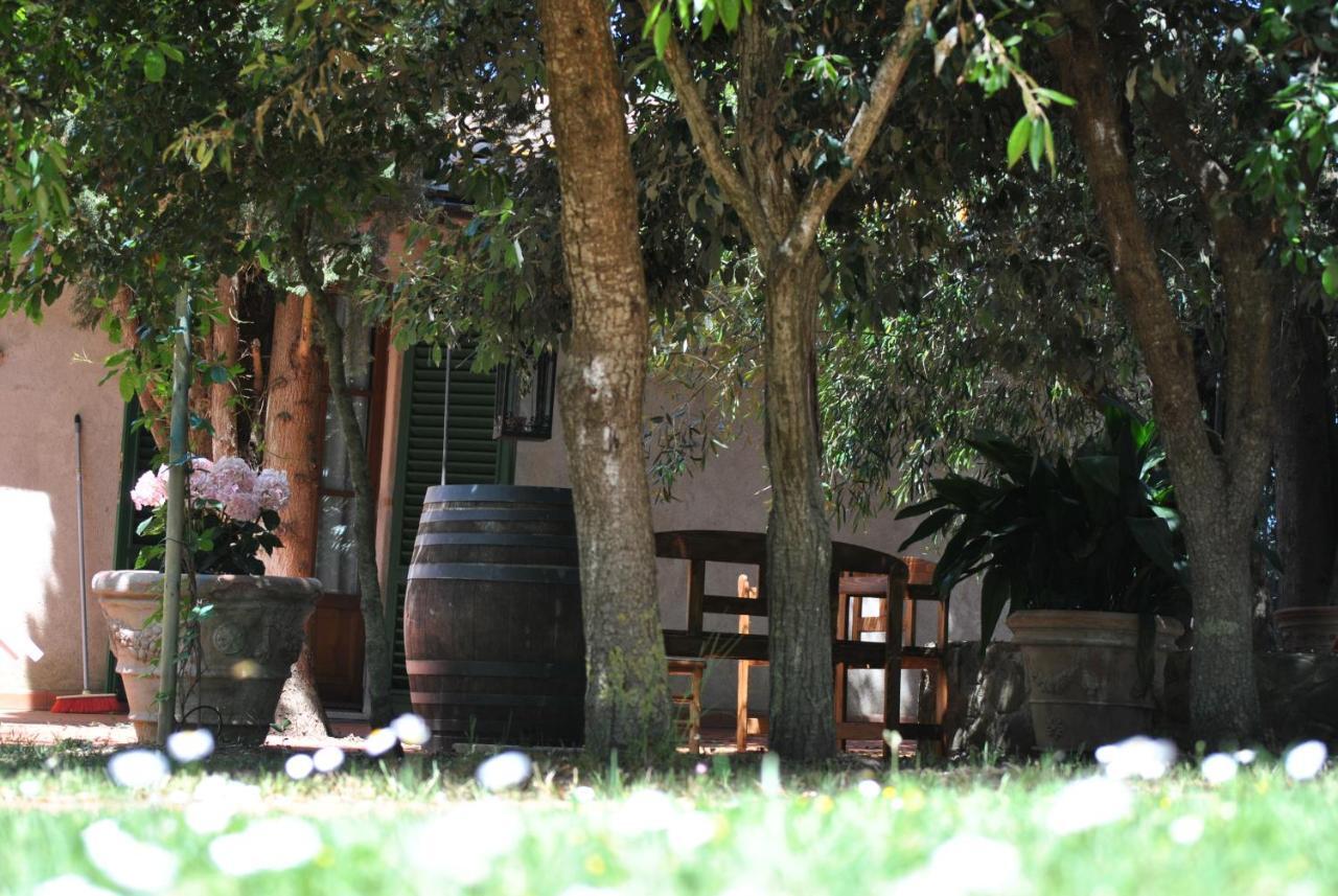Agriturismo La Nicchia Castelnuovo Berardenga Eksteriør billede