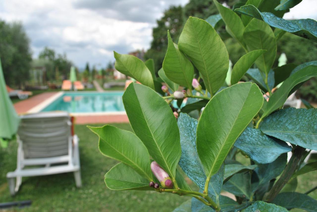 Agriturismo La Nicchia Castelnuovo Berardenga Eksteriør billede